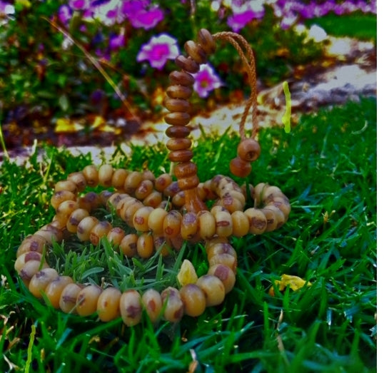 Al-Firdaws Beads – Date Seeds Tasbih (Handmade Natural Prayer Beads)